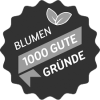 Blumen 1000 gute Gründe